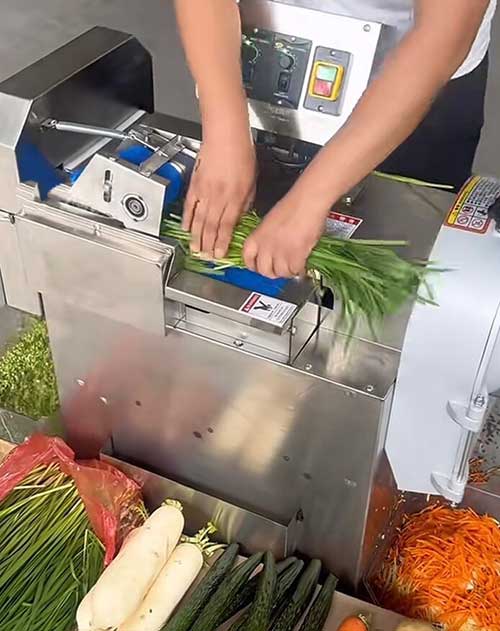 驰能切菜机每小时切菜800公斤