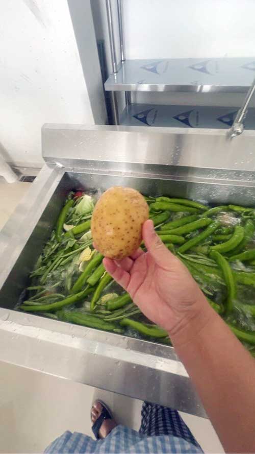 食堂洗菜效率翻倍